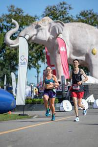 BIB: 
                            <button type="button" onclick="openModal(26544548)" class="btn btn-primary btn-sm float-right btn-popup" data-toggle="modal" data-target=".modal-high-quality">
                        <i class="fas fa-shopping-cart"></i> Add to Cart
                    </button>
                                            <button type="button" onclick="isThisMe(26544548, true)" class="btn btn-success btn-sm float-right btn-popup btn-isme hidden" data-toggle="tooltip" data-placement="bottom" title="นี่คือรูปของคุณใช่ไหม คลิกที่นี่เพื่อเอาเข้าอัลบั้ม">
                        <i class="fas fa-plus"></i> Add to album
                    </button>
                    <button type="button" onclick="isThisMe(26544548, false)" class="btn btn-warning btn-sm float-right btn-popup btn-isnotme hidden">
                        <i class="fas fa-ban"></i> Remove from album
                    </button>